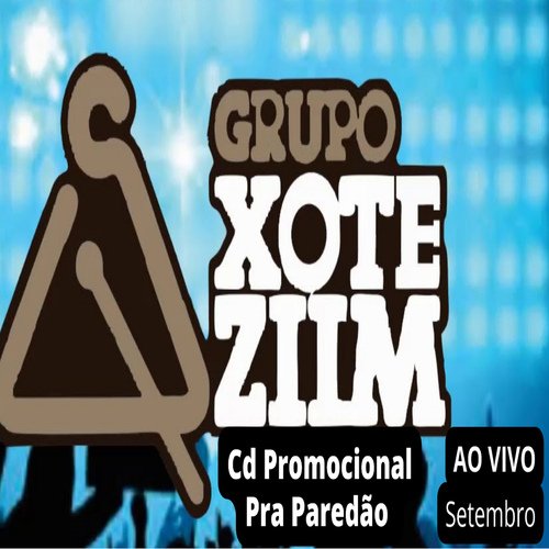 GRUPO XOTEZIIM - Alô Dono do Bar cover art