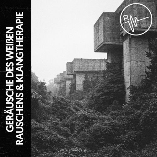Oase des weißen Rauschens cover art