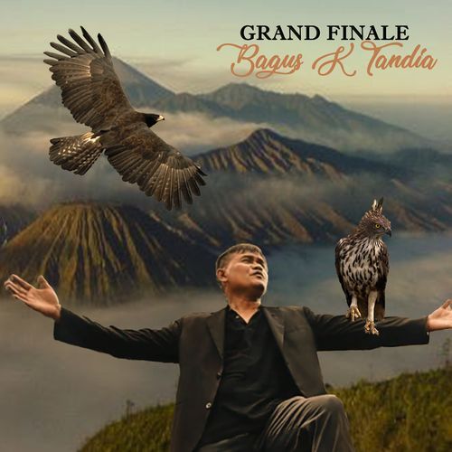 Grand Finale cover art