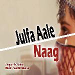 Julfa Aale Naag