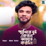 Pakhire Tui Kemon Agat Korli Amar Buke