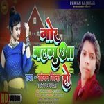 Mor Balamua Ho (Bhojpuri)