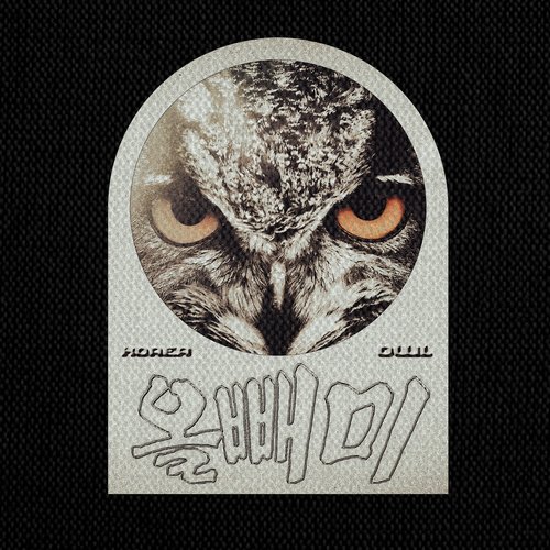 Night Owl_poster_image