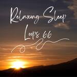 Relaxing Sleep Loops 66