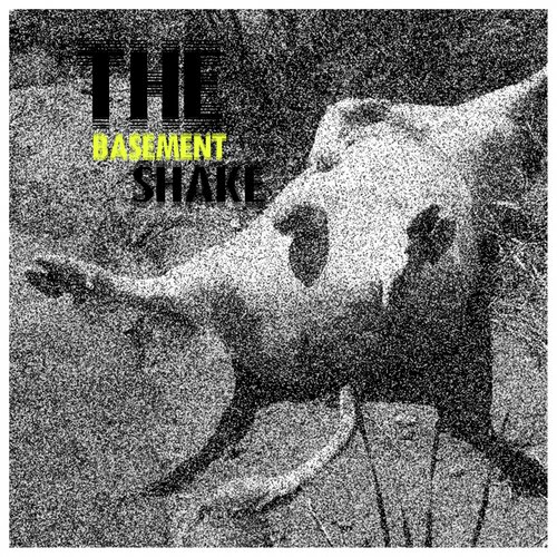 The Basement Shake
