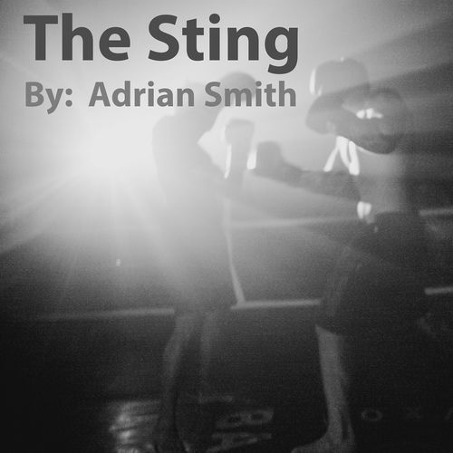 The Sting_poster_image