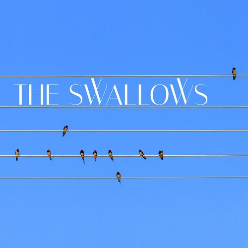 The Swallows