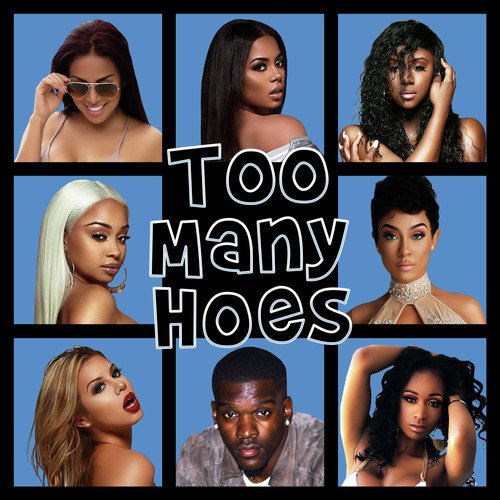 Too Many Hoes_poster_image