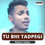 Tu Bhi Tadpegi