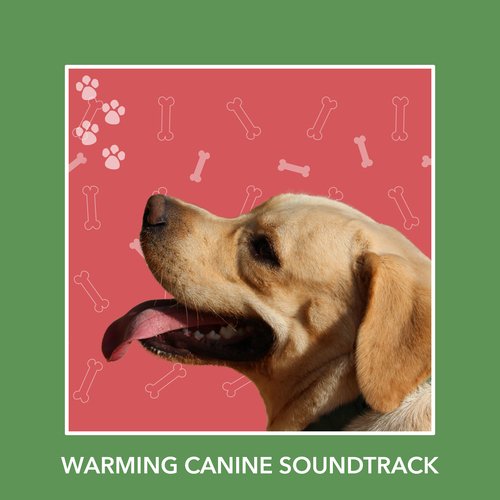 Dog Dreams cover art