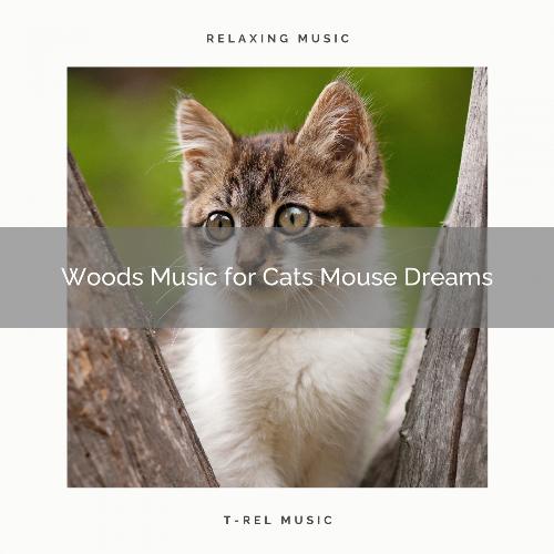 Soft Music for Cat Total Relax cover art