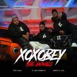 XOXOBEY