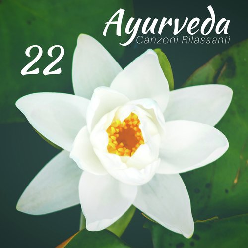 Massaggio Spa cover art