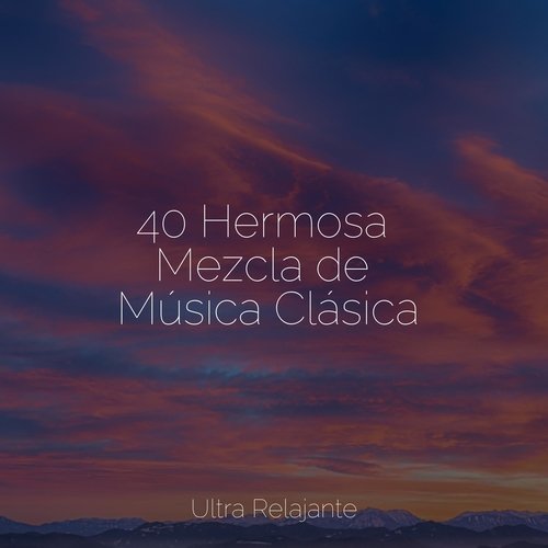 40 Hermosa Mezcla de Música Clásica_poster_image