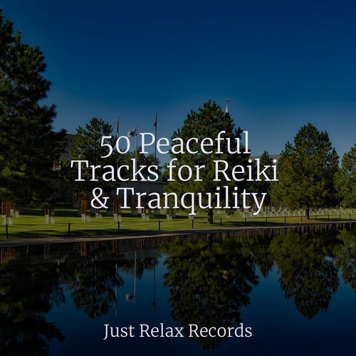 50 Peaceful Tracks for Reiki & Tranquility