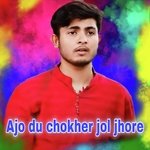 Ajo du chokher jol jhore