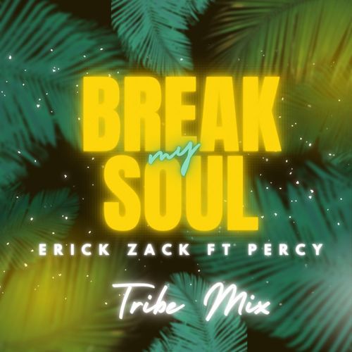 BREAK MY SOUL (feat. DJ Percy) (TRIBE MIX) cover art