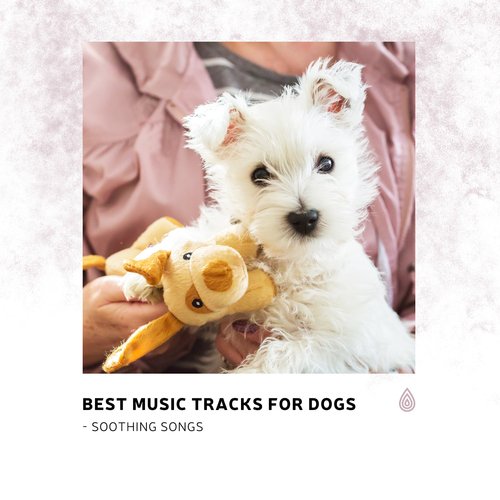 Best Music Tracks for Dogs - Soothing Songs