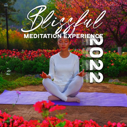 Mindfulness Meditation cover art
