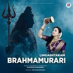 Brahmamurari - Lingashtakam