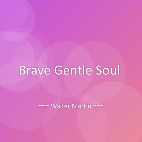 Brave Gentle Soul