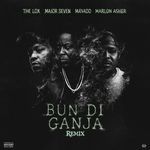 Bun Di Ganja (Remix)