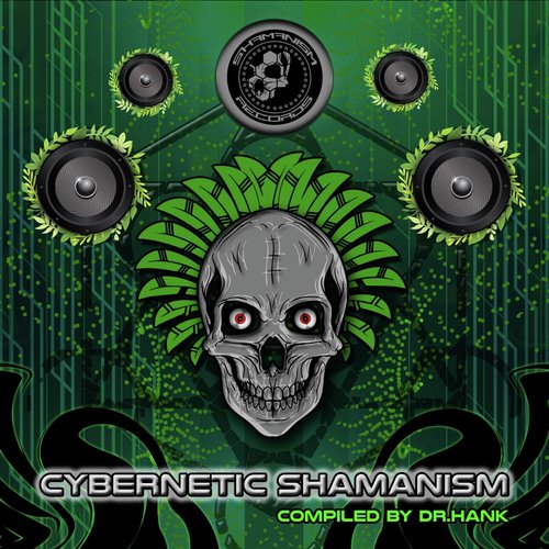 Cybernetic Shamanism