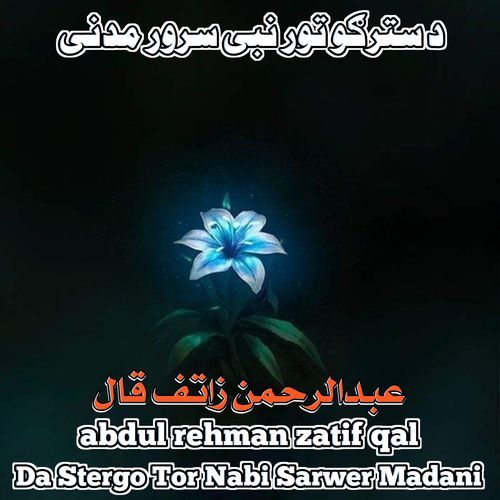 Da Stergo Tor Nabi Sarwer Madani