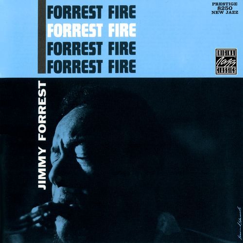 Forrest Fire_poster_image