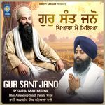 Gur Sant Jano Pyara Mai Milya