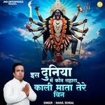 Is Duniya Mein Kaun Sahara Kali Mata Tere Bin