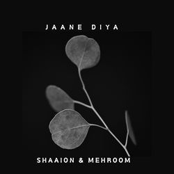 Jaane Diya-OTEKAB9jYwc