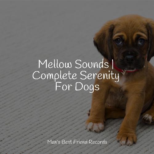 Mellow Sounds | Complete Serenity For Dogs