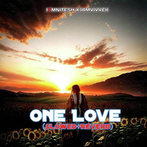 One Love (Slowed+Reverb) Lyrics - One Love (Slowed+Reverb) - Only on  JioSaavn