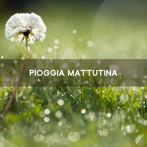 Pioggia mattutina: Riposo per il corpo e per la mente_poster_image