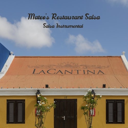 Salsa Instrumental cover art