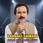 Seen Pa Ghara Raza Janana