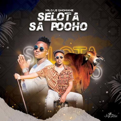 Bophelo Bona Song Download from Selota Sa Pooho JioSaavn