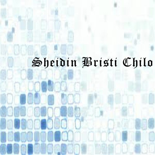 Sheidin Bristi Chilo