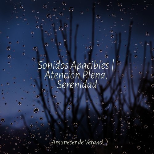 Sonidos Apacibles | Atención Plena, Serenidad