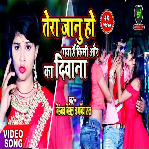Tera Jaanu Ho Gaya Hai Kisi Aur Ka Diwanana