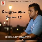 Tere Bina Mere Sanam 3.0