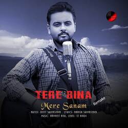 Tere Bina Mere Sanam (Remake)-PSspfz1EBEQ