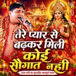 Tere Pyar Te Badke Mane Mili Koi Sogat Nahi artwork