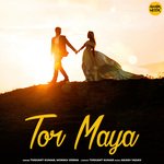 Tor Maya