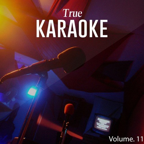 True Karaoke, Vol. 11_poster_image