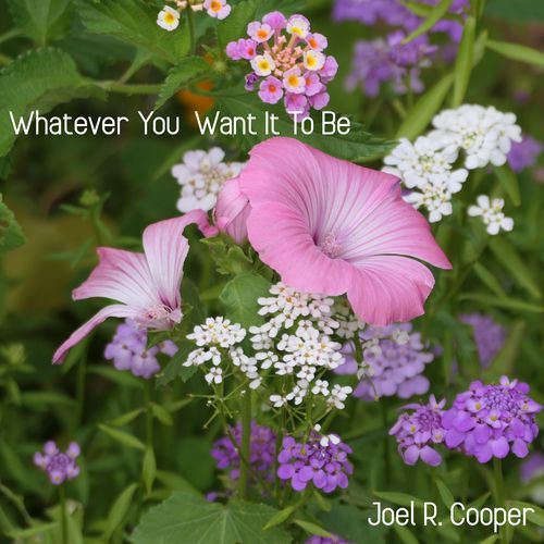 Whatever You Want It To Be