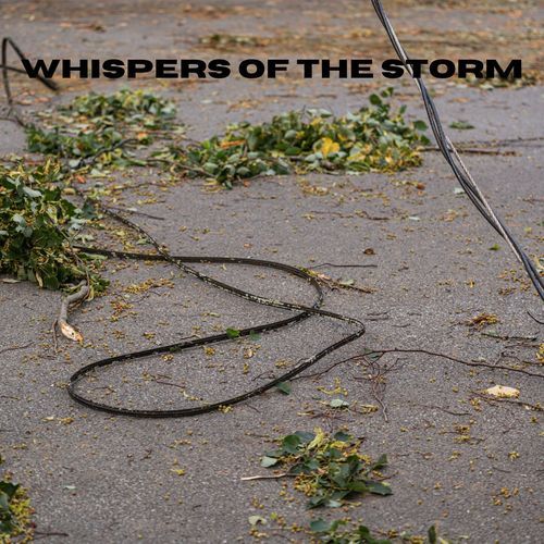 Whispers of the Storm_poster_image