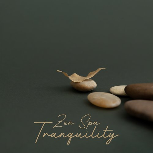 Zen Spa Tranquility: Calming Massage Relaxation, Wellness, Calm Spa Music_poster_image