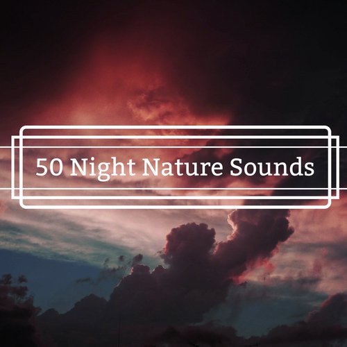 50 Night Nature Sounds - Personal Transformation Sound to Awaken Mind_poster_image